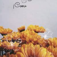 Construa uma ponte de gratidão para se alcançar novas bênçãos!