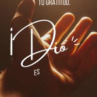 Ofereça a sua gratidão. Deus ouve cada palavra com atenção e abençoa aqueles que Dele não esquece!