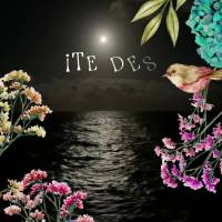 Desejo uma noite de muita paz e lindos sonhos!