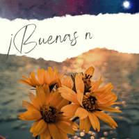 Que você encontre a estrela mais brilhante para te guiar em sua jornada! Boa noite! 