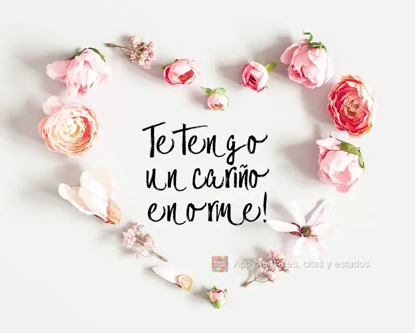 Eu tenho um enorme carinho por você!