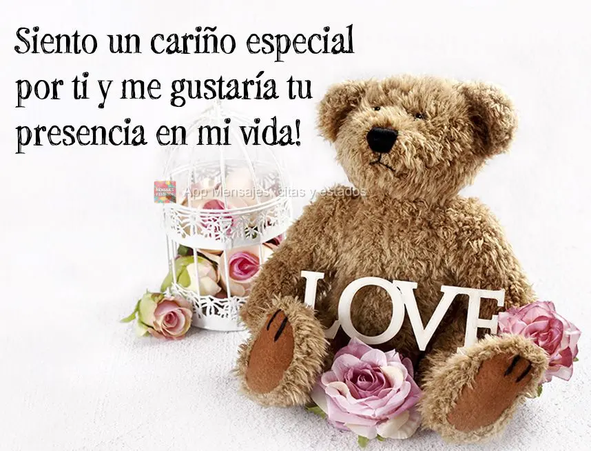 Siento un cariño especial por ti y me gustaría tu presencia en mi vida!