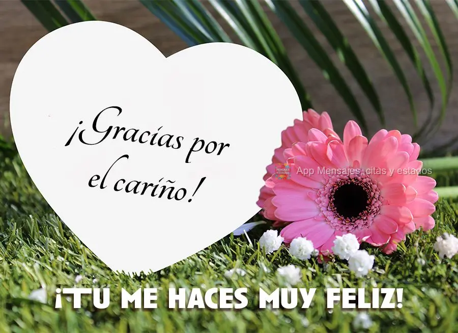 ¡Gracias por el cariño! ¡Tu me haces muy feliz!
