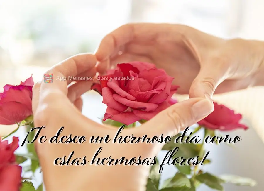 ¡Te deseo un hermoso día como estas hermosas flores!
