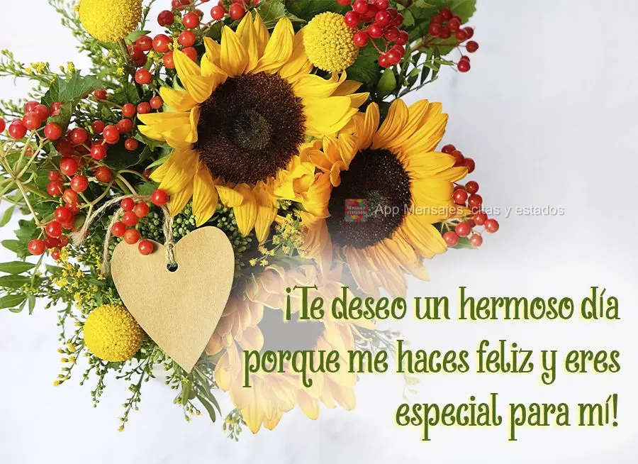 ¡Te deseo un hermoso día porque me haces feliz y eres especial para mí!