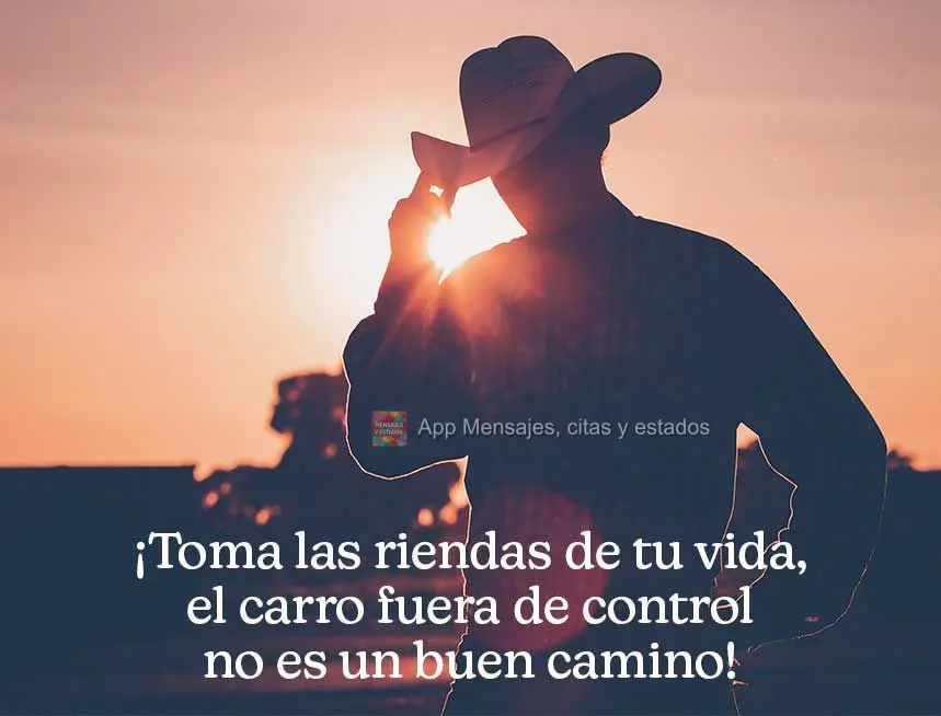 Tome as rédeas da sua vida, carroça desgovernada não faz um bom caminho!
