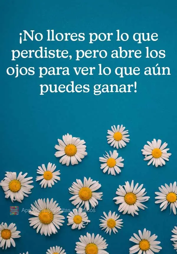 ¡No llores por lo que perdiste, pero abre los ojos para ver lo que aún puedes ganar!