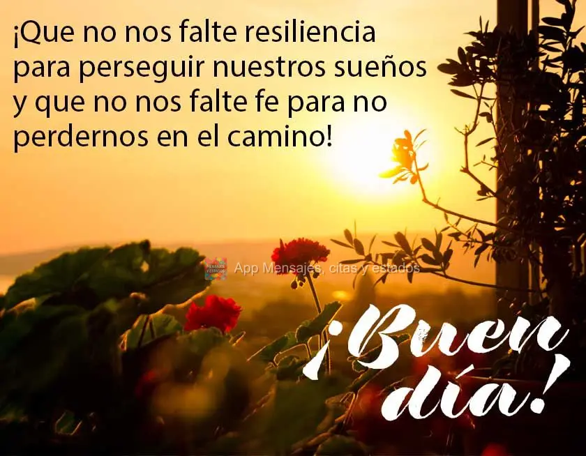Que não nos falte resiliência para ir atrás dos nossos sonhos e que não nos falte fé para não se perder no caminho! Bom dia!