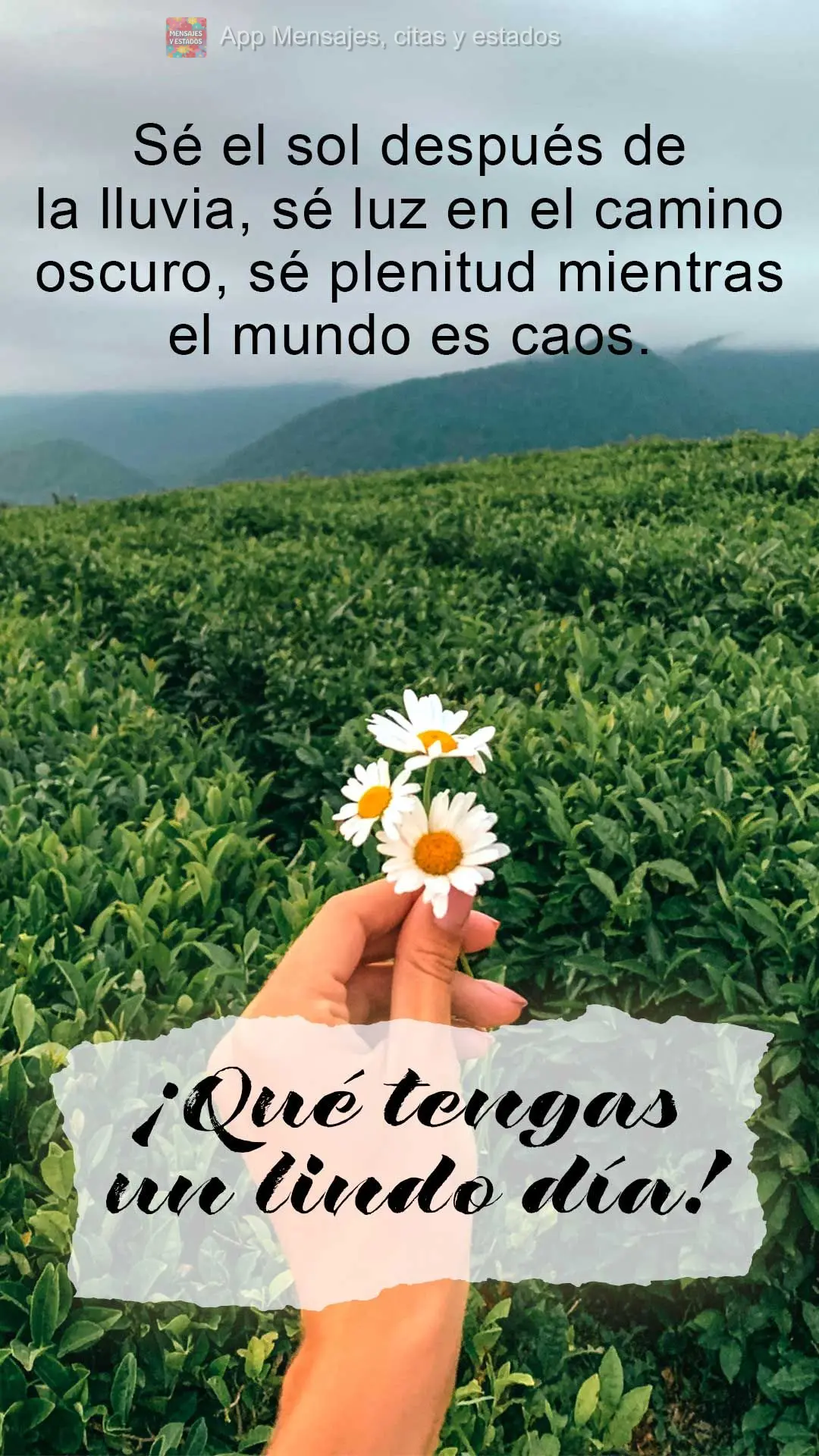 Seja o sol depois da chuva, seja luz no caminho escuro, seja plenitude enquanto o mundo for caos.  Tenha um ótimo dia!