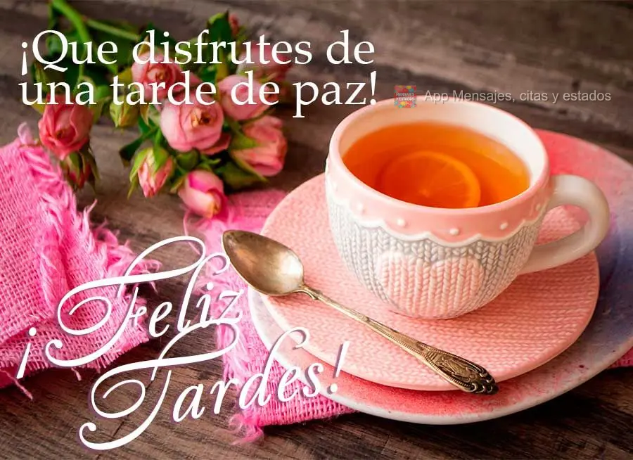 Que você possa desfrutar de uma tarde de paz! Feliz tarde!