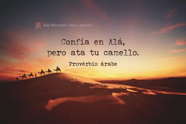 Confía en Alá, pero ata tu camello. proverbio árabe