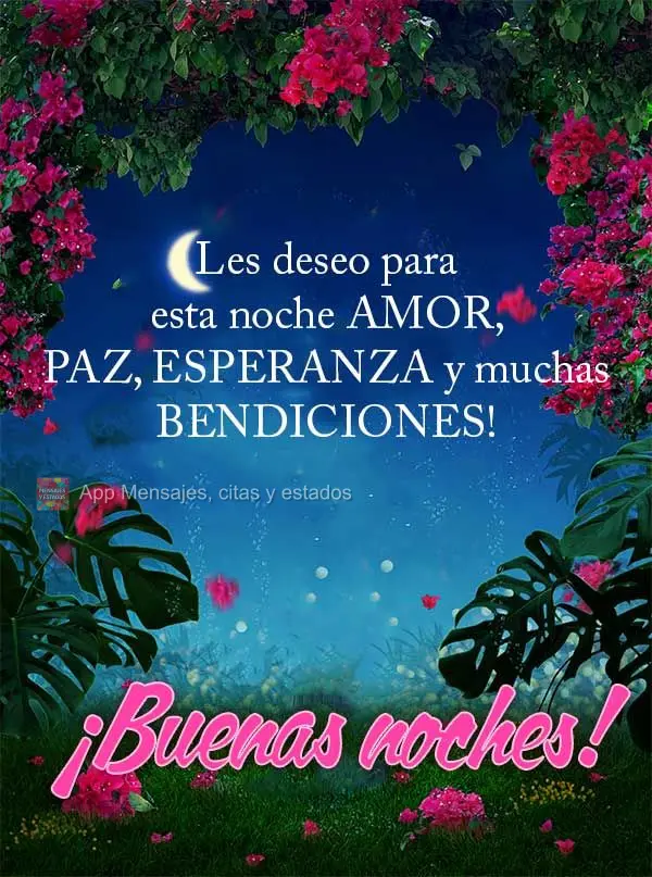 Te desejo para esta noite amor, paz, esperança e muitas bênçãos! Boa noite!