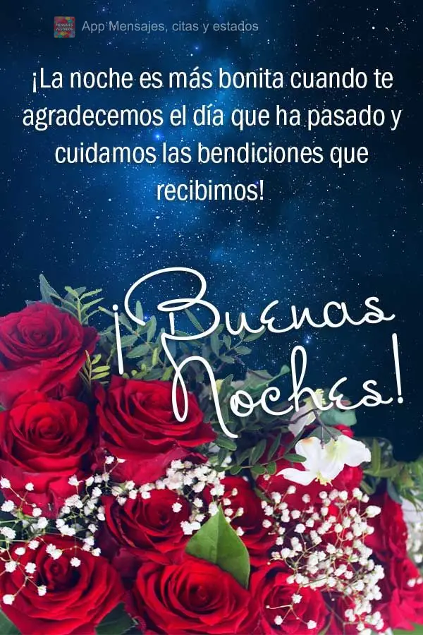 A noite fica mais bonita quando a gente agradece pelo dia que passou e cuidamos com carinho das bênçãos que recebemos! Boa noite!