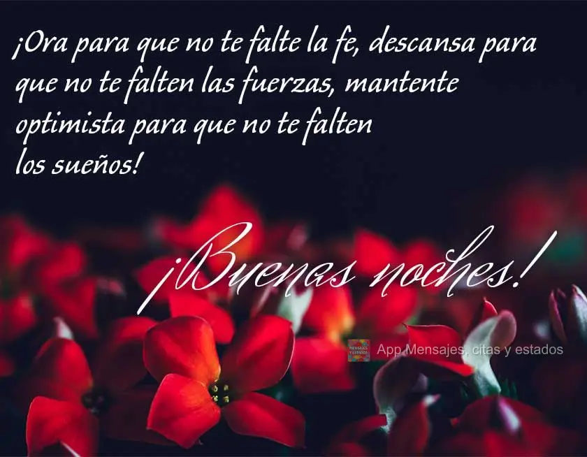 ¡Ora para que no te falte la fe, descansa para que no te falten las fuerzas, mantente optimista para que no te falten los sueños! ¡Buenas noches!