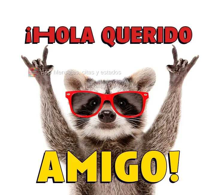 ¡Hola querido amigo!