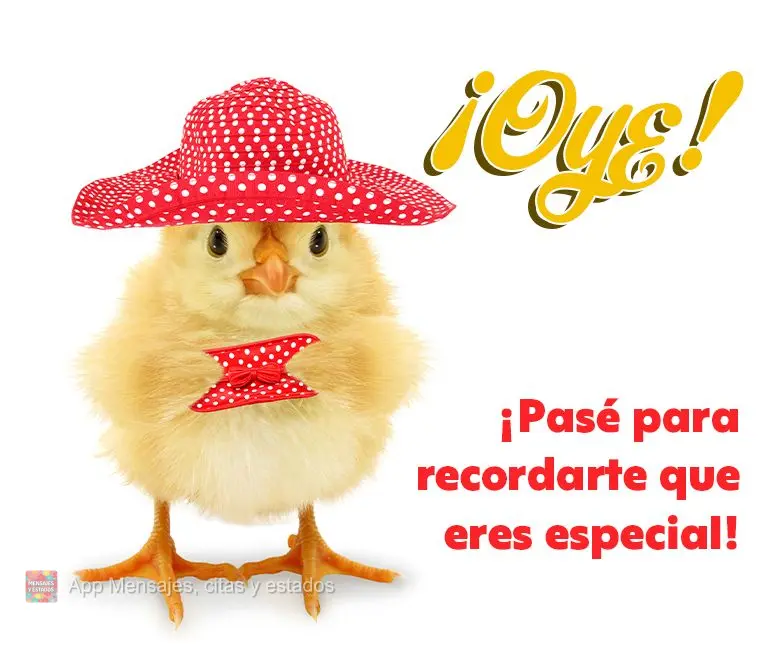 ¡Oye! ¡Pasé para recordarte que eres especial!