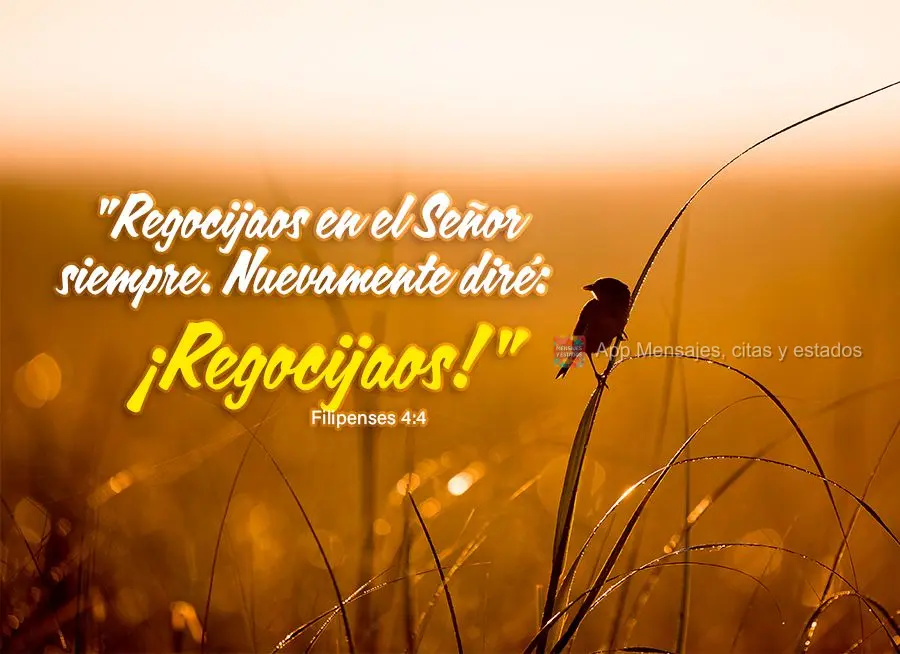 "Alegrem-se sempre no Senhor. Novamente direi: Alegrem-se!" Filipenses 4,4