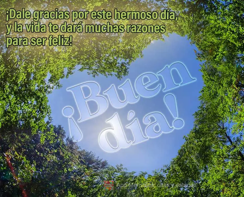 Agradeça por esse lindo dia, e a vida lhe dará muitos motivos para ser feliz! Bom dia!