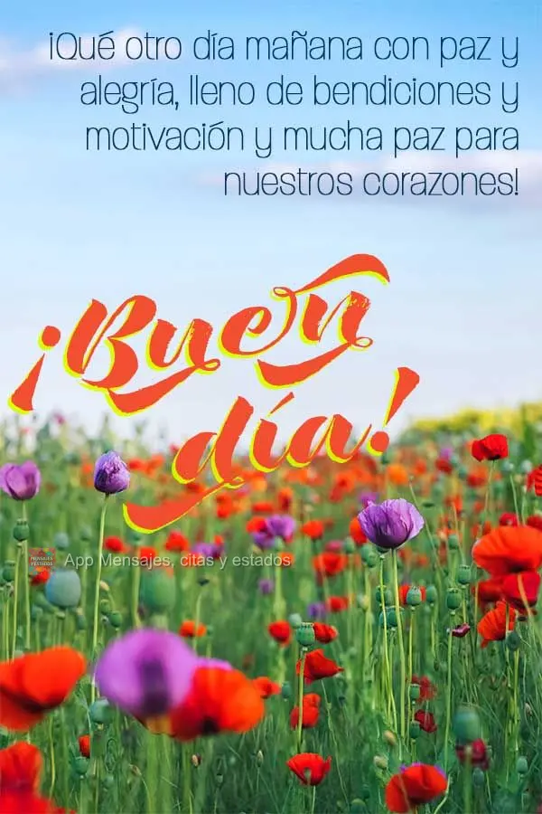Que amanheça mais um dia com paz e alegria, cheio de bênçãos e motivação e muita paz para o nosso coração! Bom dia!