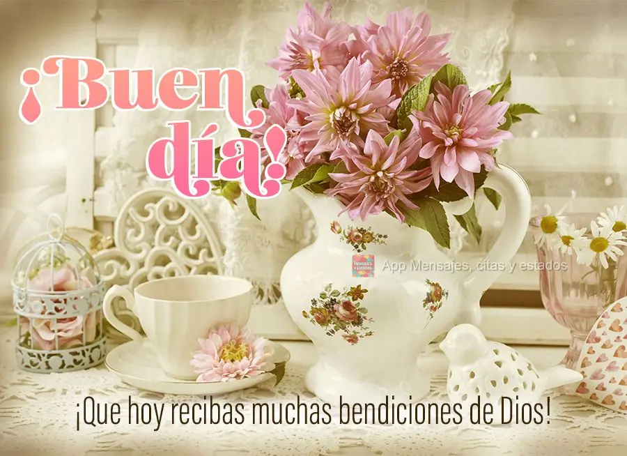 Que hoje você possa receber muitas bênçãos de Deus! Bom dia!