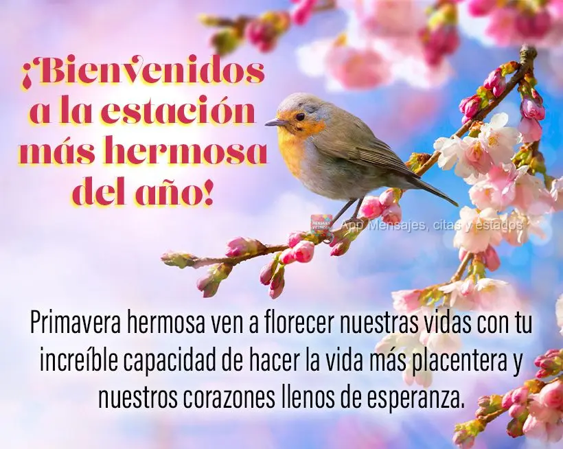 Primavera sua linda! Venha florir nossas vidas com sua incrível habilidade de deixar a vida mais prazerosa e nosso coração cheio de esperança. Seja B...