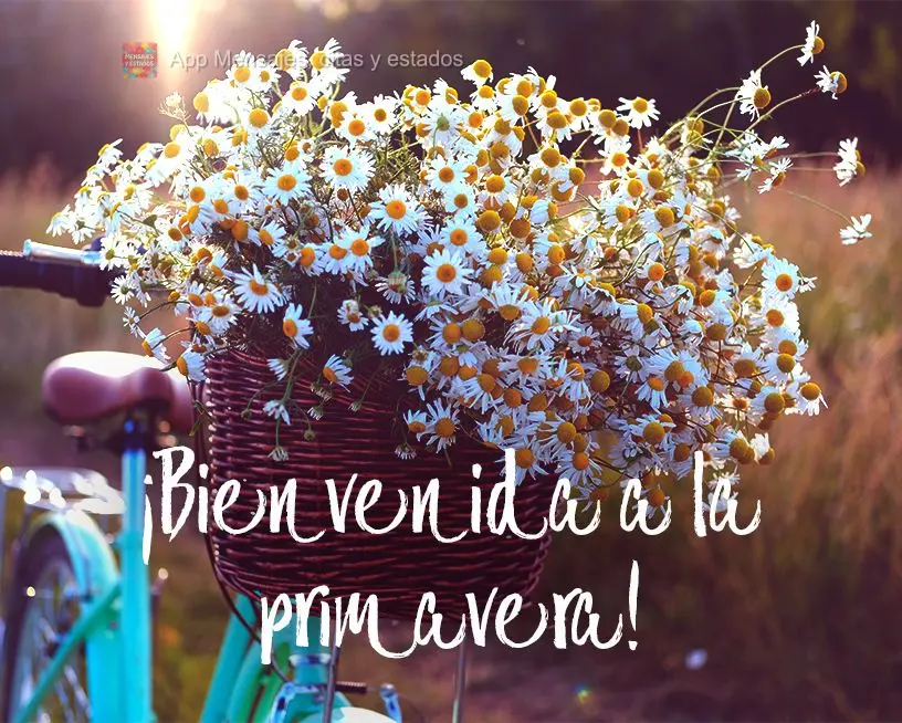 Seja Bem-Vinda Primavera!