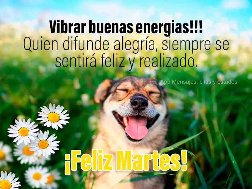 Vibrar buenas energias!!! Quien difunde alegría, siempre se sentirá feliz y realizado. ¡Feliz martes!