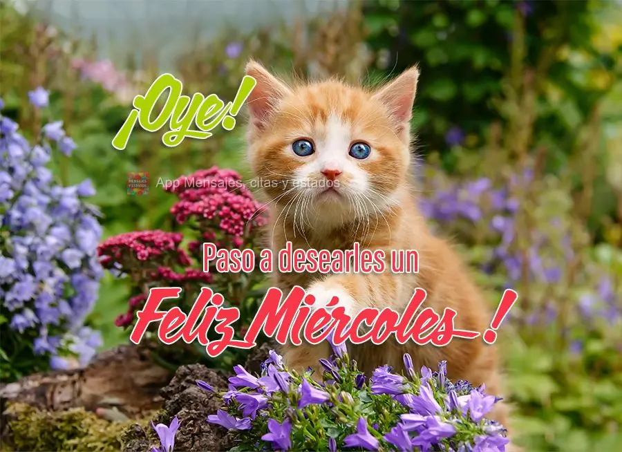 Oi! Passando aqui para desejar uma Feliz Quarta-feira!