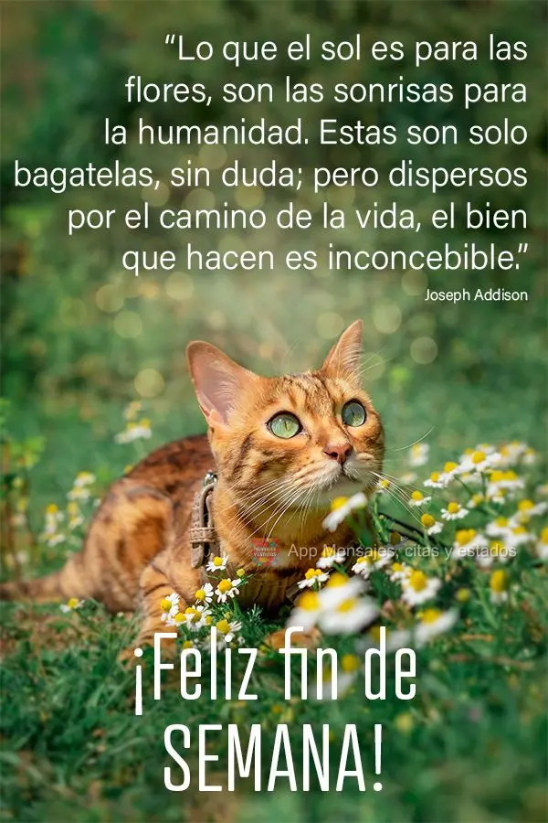 “Lo que el sol es para las flores, son las sonrisas para la humanidad. Estas son solo bagatelas, sin duda; pero dispersos por el camino de la vida, el ...