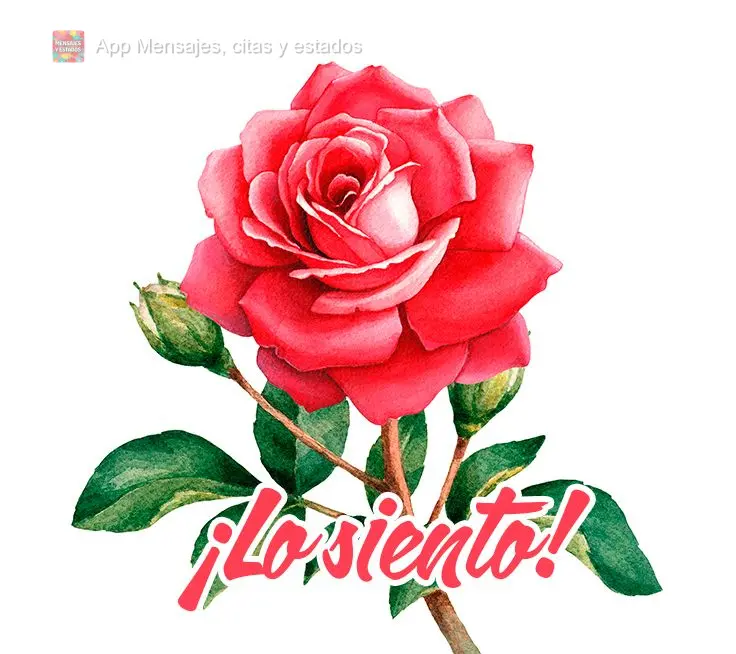 ¡Lo siento!