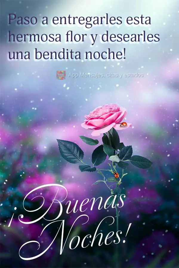 Passando aqui para lhe entregar essa linda flor e desejar uma noite abençoada!  Boa noite!