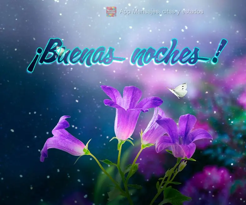 ¡Buenas noches!