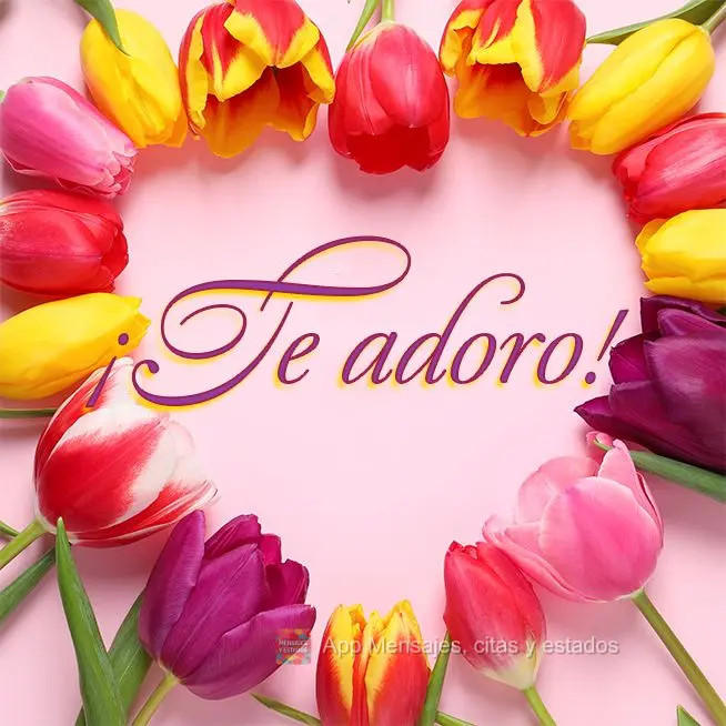 ¡Te adoro!