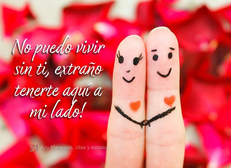 No puedo vivir sin ti, extraño tenerte aquí a mi lado!