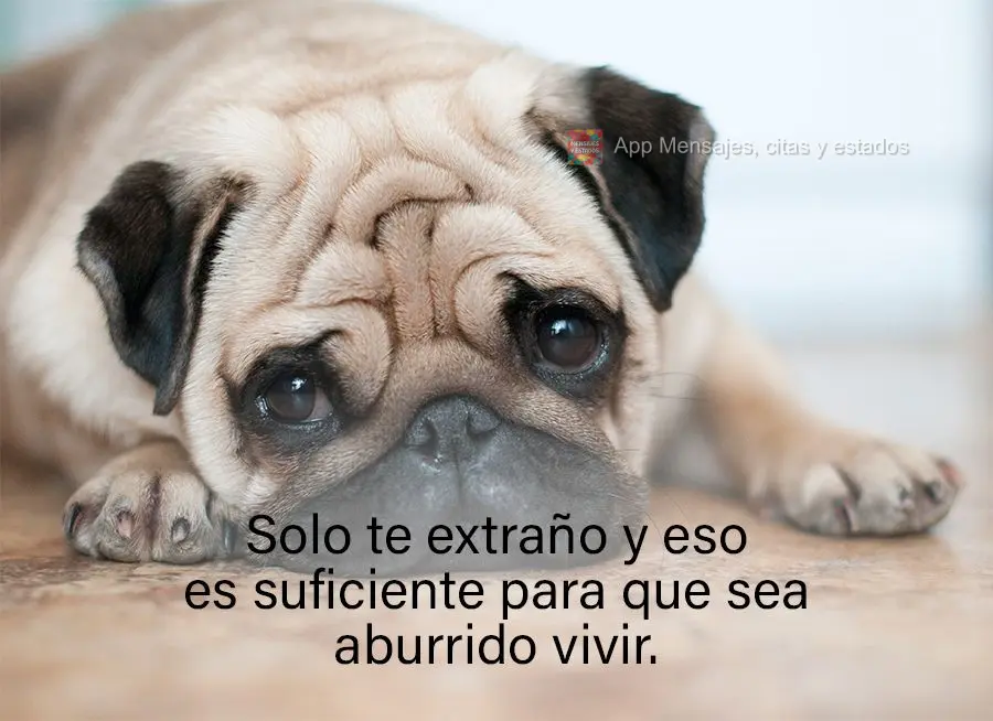 Solo te extraño y eso es suficiente para que sea aburrido vivir.