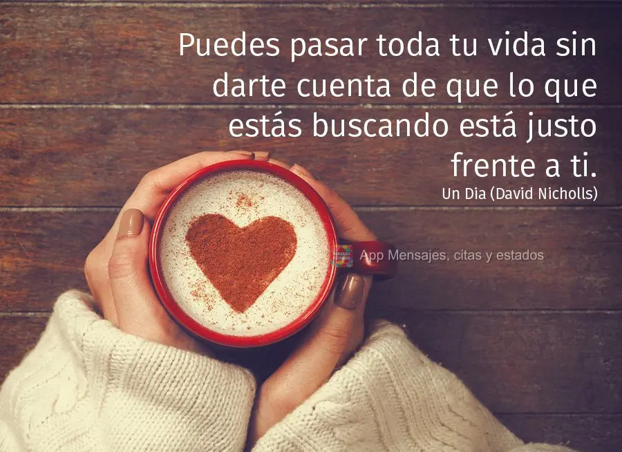 Puedes pasar toda tu vida sin darte cuenta de que lo que estás buscando está justo frente a ti. Un día (David Nicholls)