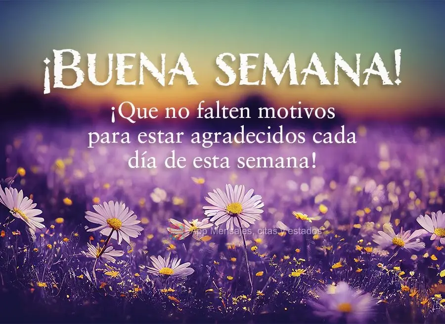 ¡Que no falten motivos para estar agradecidos cada día de esta semana! ¡Buena semana!