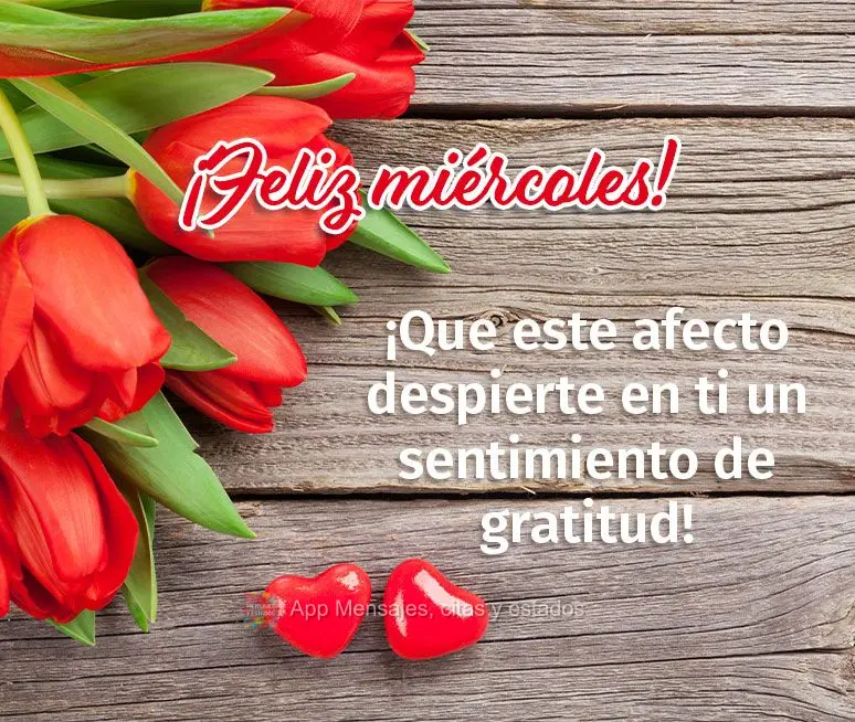 Que esse carinho desperte em você um sentimento de gratidão! Feliz Quarta-feira! 