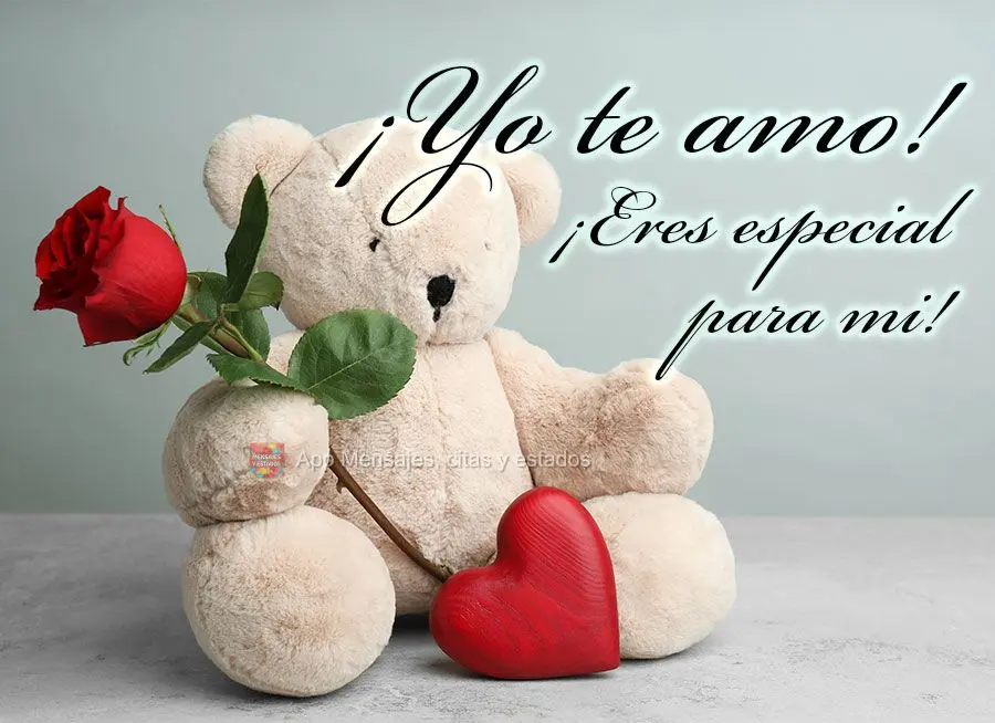 Você é especial para mim! Eu te amo! 