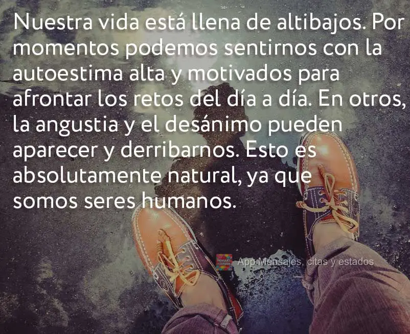A nossa vida é cheia de altos e baixos. Em alguns momentos podemos nos sentir com a autoestima elevada e motivados para encarar os desafios do dia a dia...