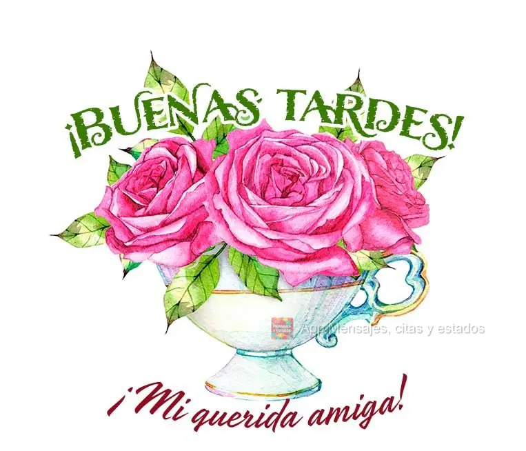 Minha querida amiga! Boa tarde!