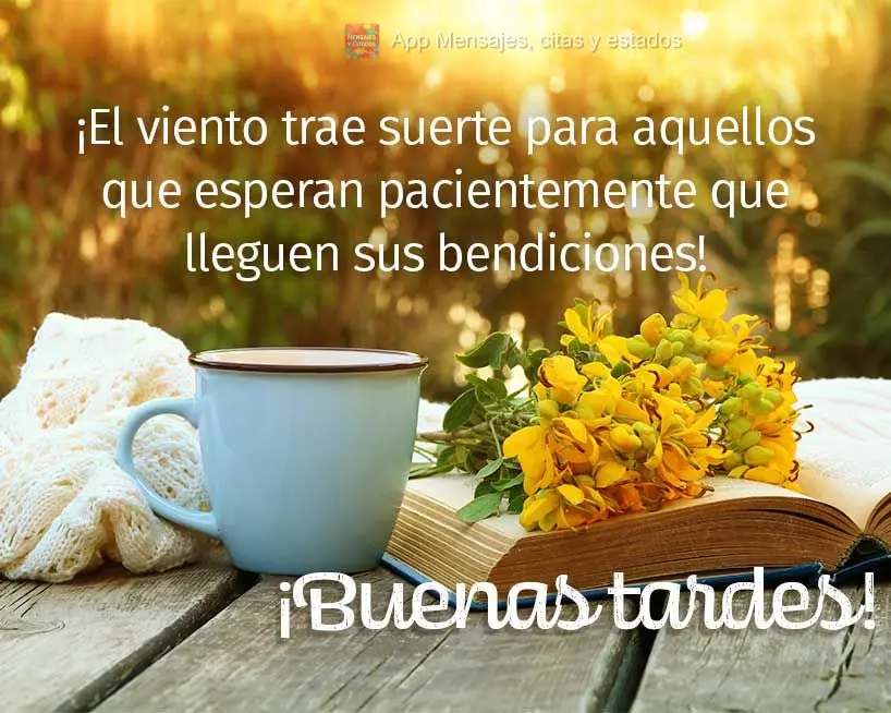 O vento sopra a sorte para quem espera com paciência as suas bênçãos chegar!  Boa tarde!