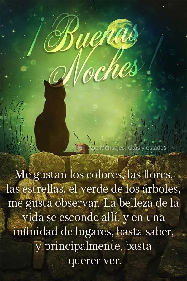 Gosto das cores, das flores, das estrelas, do verde das árvores, gosto de observar. A beleza da vida se esconde por ali, e por mais uma infinidade de lu...