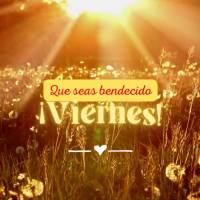 Que seja abençoada a sua Sexta-feira!