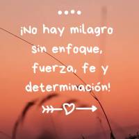 Não existe milagre sem foco, força, fé e determinação!