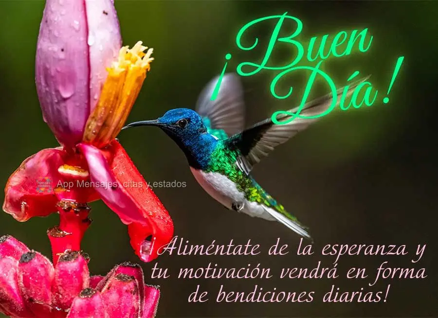  Se alimente de esperança e sua motivação virá em forma de bênçãos diárias! Bom dia!