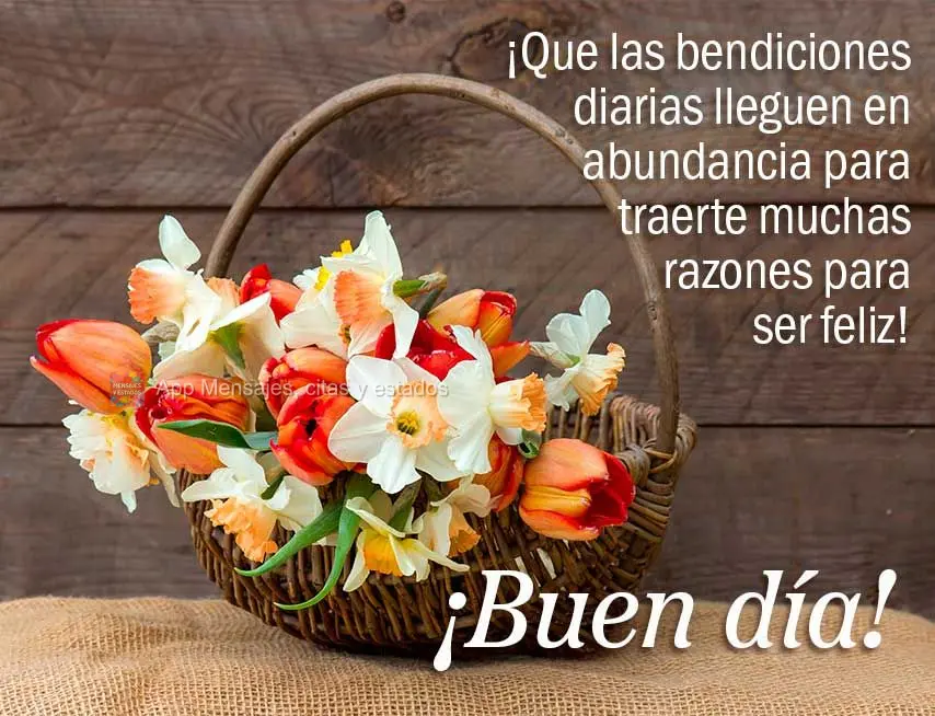 ¡Que las bendiciones diarias lleguen en abundancia para traerte muchas razones para ser feliz! ¡Buen día!