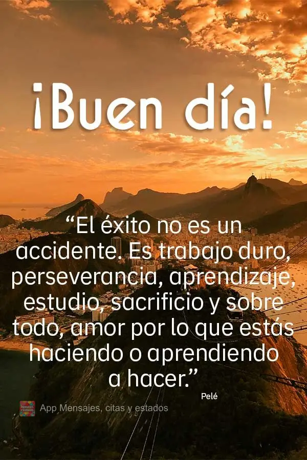 “El éxito no es un accidente. Es trabajo duro, perseverancia, aprendizaje, estudio, sacrificio y sobre todo, amor por lo que estás haciendo o aprendi...