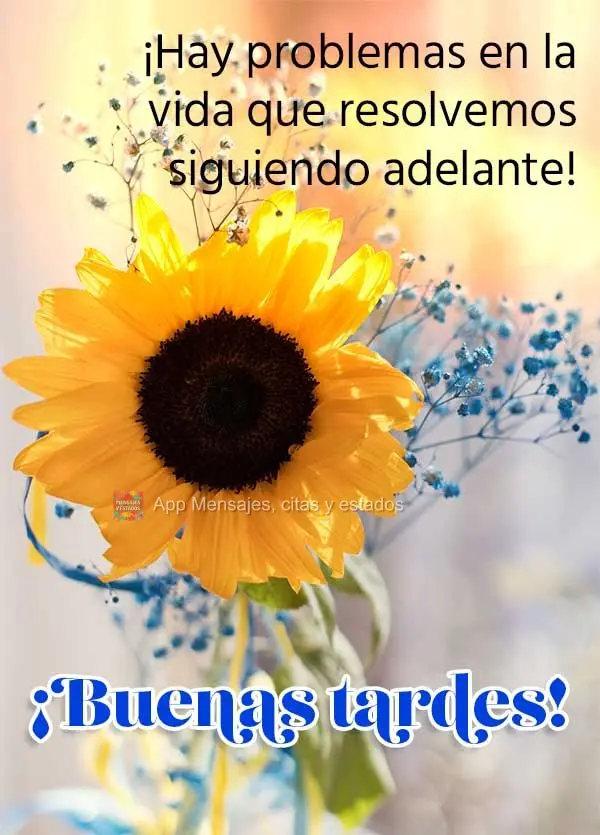 Há questões na vida que a gente resolve seguindo em frente! Boa tarde!