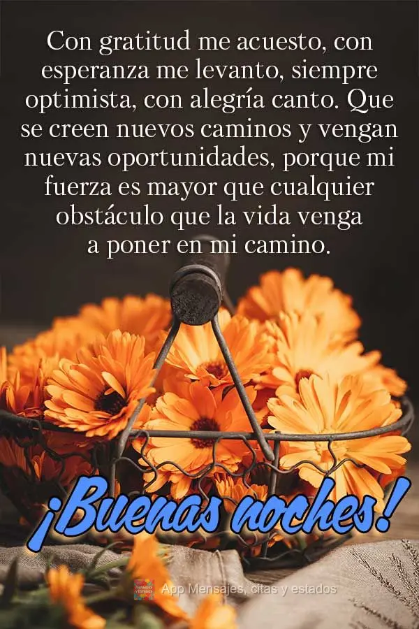 Com gratidão me deito, com esperança me levanto, sempre otimista, alegremente eu canto. Que se criem novos caminhos e que venham novas oportunidades, p...